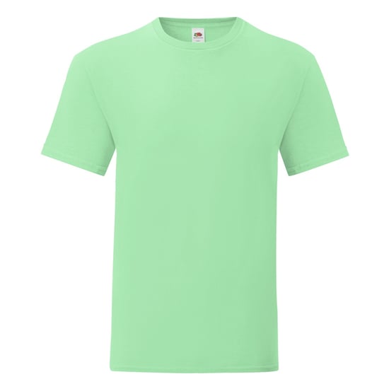 Fruit Of The Loom Mens Iconic 150 T-Shirt (Mint Green) - Image 1