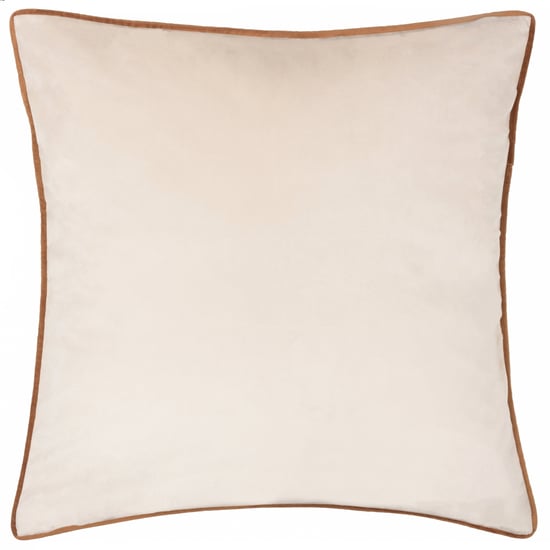 Paoletti Meridian Velvet Cushion