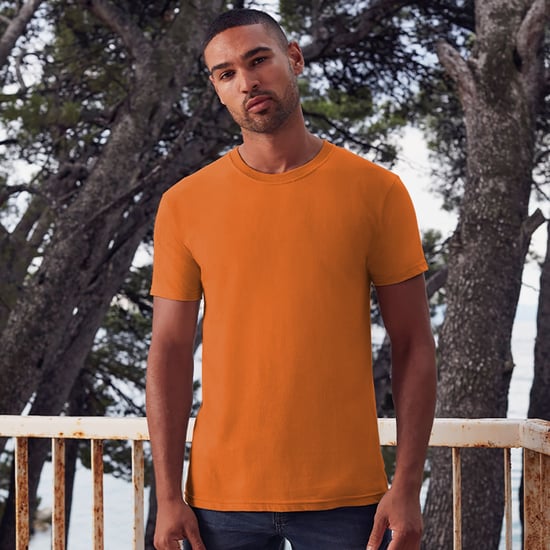Fruit Of The Loom Mens Iconic 195 Ringspun Premium Tshirt (Orange) - Image 2