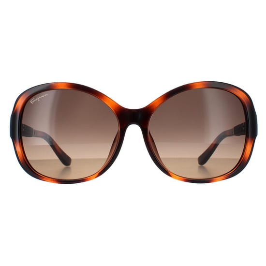 Salvatore Ferragamo Mariposa Mujeres Tortoise Marrón Gradiente SF744SLA - Image 1