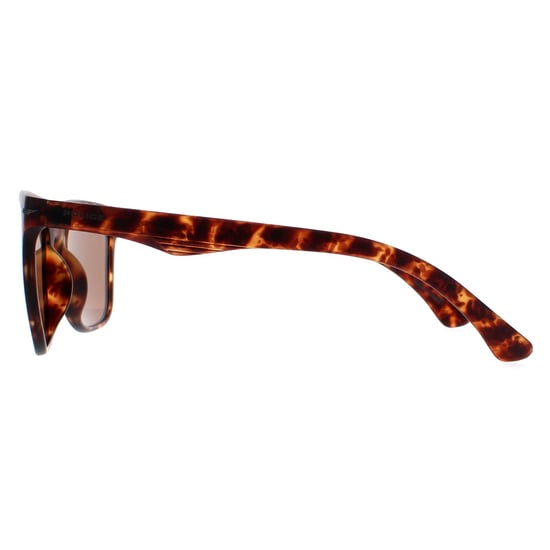 Police Rectangle Mens Matte Dark Havana Brown SPL357 Blackbird Light 2