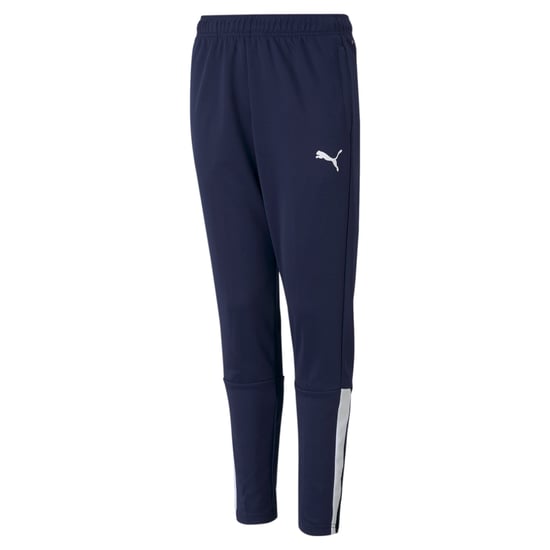 PUMA teamLIGA Training Youth Football Pants