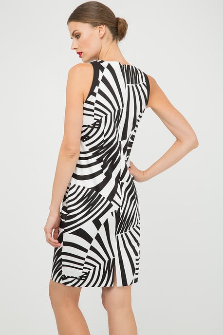 Fitted Sleeveless Print Dress