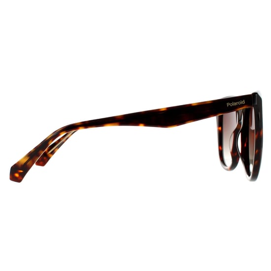 Polaroid Square Womens Havana Brown Gradient Polarized Sunglasses