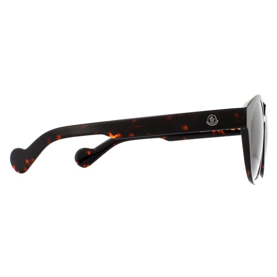 Moncler Round Unisex Dark Havana Green Sunglasses