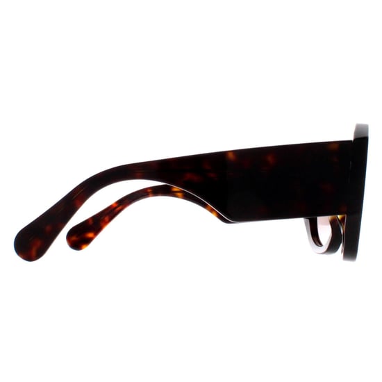 Chloe Round Womens Habana Oscuro Marrón Gradiente CH0234S - Image 4