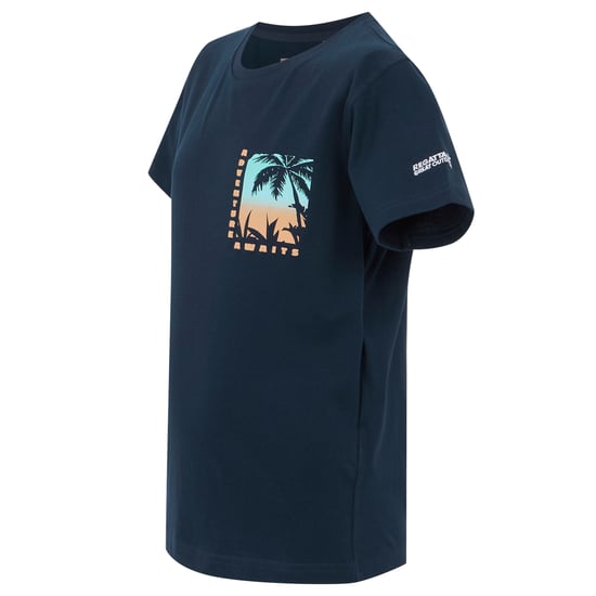 Regatta Childrens/Kids Bosley VIII Parasailing T-Shirt (Navy) - Image 3
