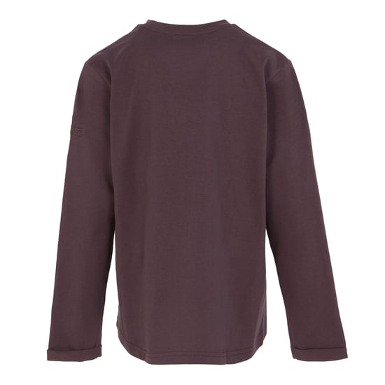 Regatta Childrens/Kids Wenbie III Star Long-Sleeved T-Shirt (Deep Plum)