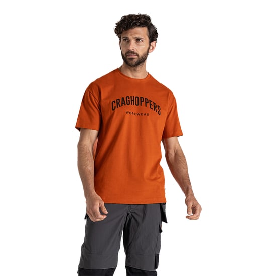 Craghoppers Mens Batley Work T-Shirt (Potters Clay)