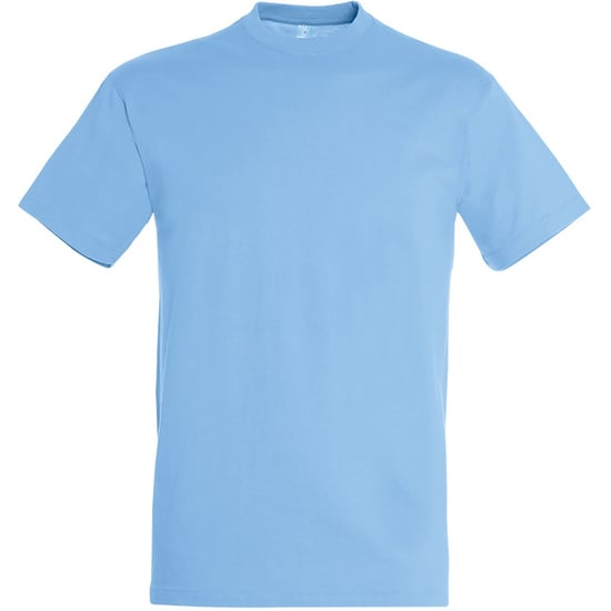 SOLS Mens Regent Short Sleeve T-Shirt (Sky Blue) - Image 1