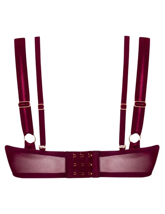 Scantilly by Curvy Kate Buckle Up Padded Half Cup Bra