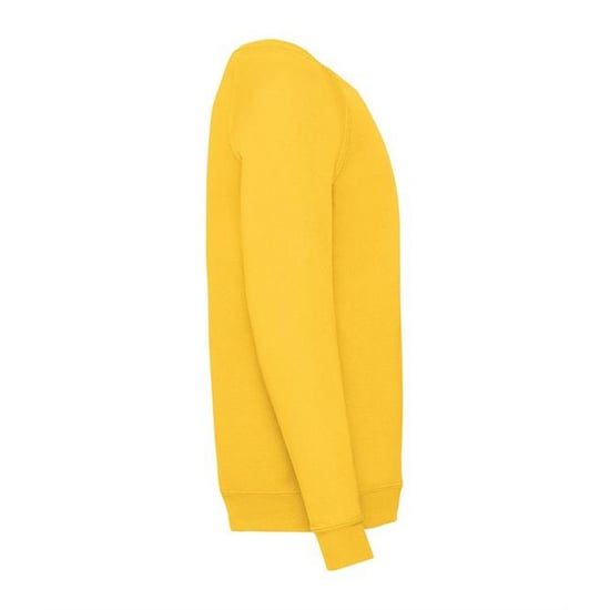 Fruit Of The Loom Childrens Unisex Raglan Sleeve Sweatshirt (Sunflower) - Image 3