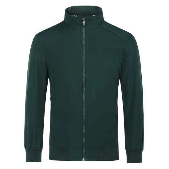Men's Bomber Jacket with Stand-Up Collar, Transitional Jacket for Autumn, Casual Sports Jacket Green - Image 1