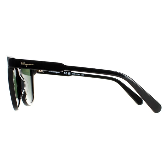 Salvatore Ferragamo Cuadrado Señoras Negro Vegetal SF815s - Image 3
