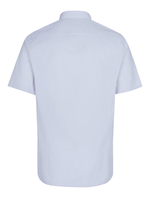 Camisa Pal Zileri - Image 2