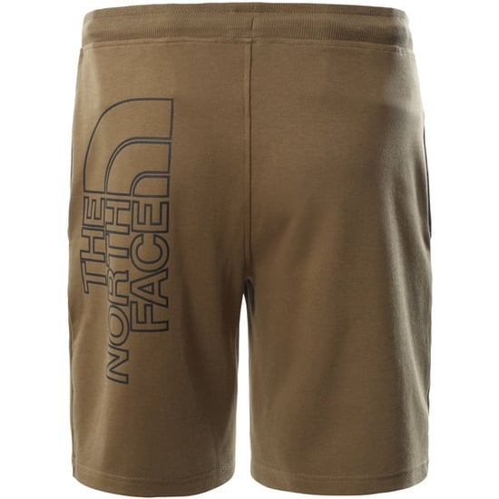 The North Face Men’s Graphic Light Shorts Military Olive