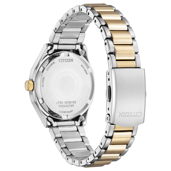 Citizen  Women's Multicolour Watch FE2116-85A
