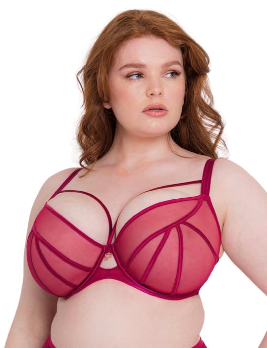 Scantilly by Curvy Kate Senses Plunge Bra - Cherry