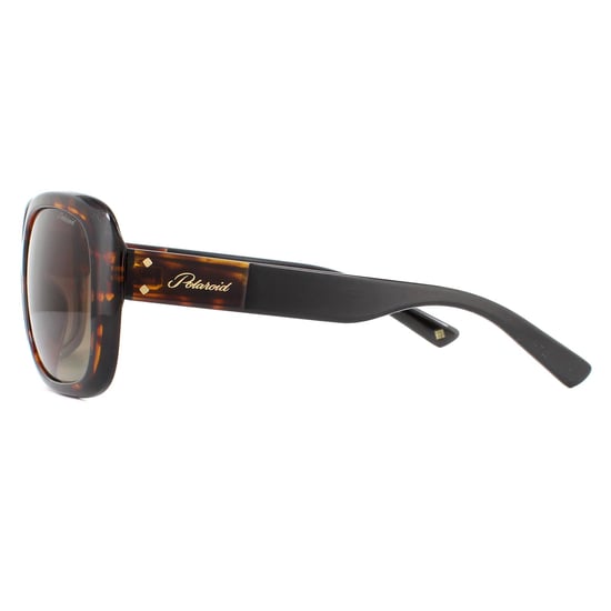 Gafas de sol Polaroid PLD 4069/G/S/X 086 LA Havana Marrón Degradado Polarizado - Image 3
