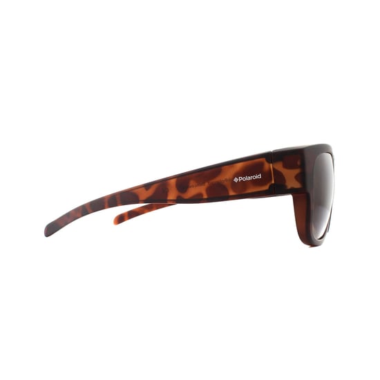 Polaroid Suncovers Square Unisex Havana Brown Polarized Sunglasses