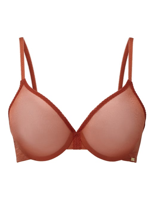 Glossies Sheer Plunge Bra