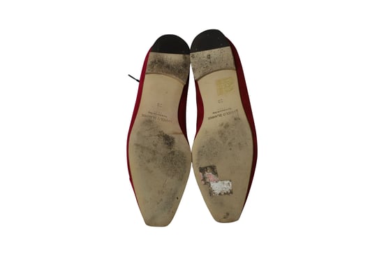 Manolo Blahnik Witney Brogues in Pink Suede - Image 5