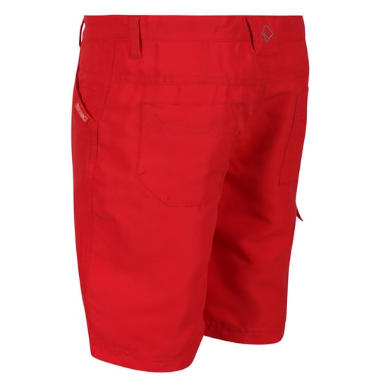 Regatta Childrens/Kids Sorcer II Shorts