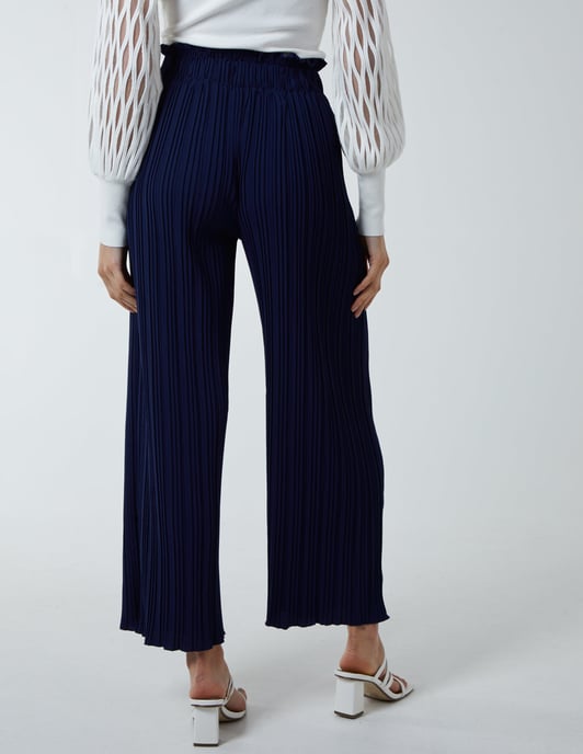 Wide Leg Pleated Trousers