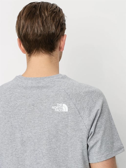 Camiseta The North Face Reglan Sleeve NSE Gris Hombre - Image 4