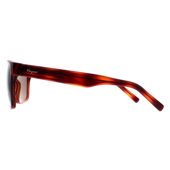 Salvatore Ferragamo Square Womens Tortoise Brown SF959S