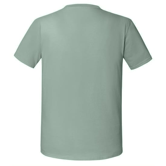 Fruit Of The Loom Mens Iconic 195 Ringspun Premium Tshirt (Sage) - Image 2