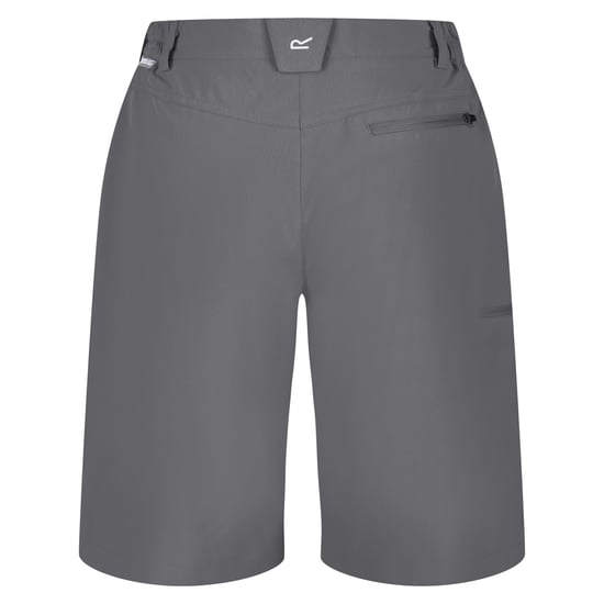Regatta Womens/Ladies Xert Stretch Shorts (Seal Grey) - Image 2