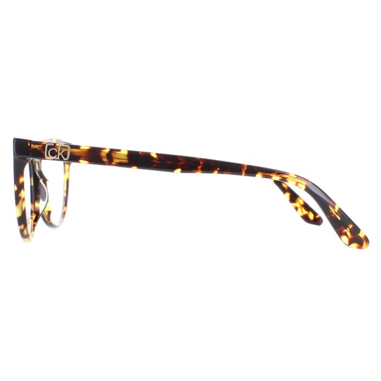 Calvin Klein Cat Eye Womens Brown Amber Tortoise Glasses