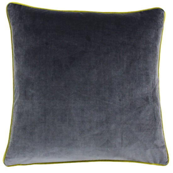 Meridian Cojín Poliéster 55X55 Cha/Mos - Image 1