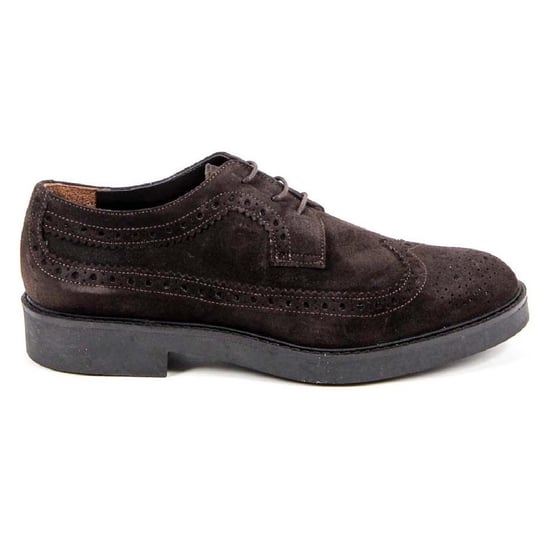 V 1969 Italia Womens Brogue Shoe B1670 VELOUR T. MORO