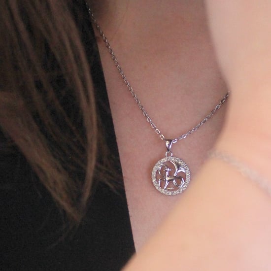 Colgantes del zodiaco Capricornio - Plata y cristal - Image 2