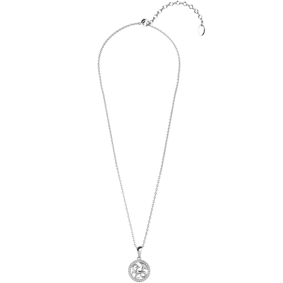 Colgantes del zodiaco Capricornio - Plata y cristal - Image 5