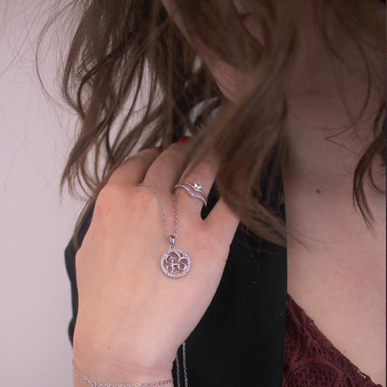Colgantes del zodiaco Capricornio - Plata y cristal - Image 6