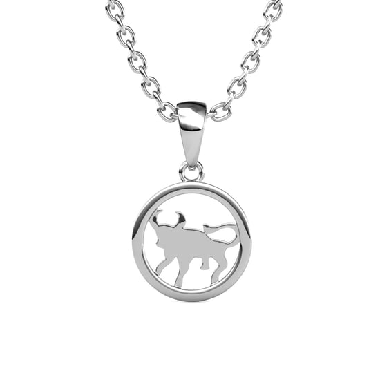 Colgantes del zodiaco Tauro - Plata y cristal - Image 4