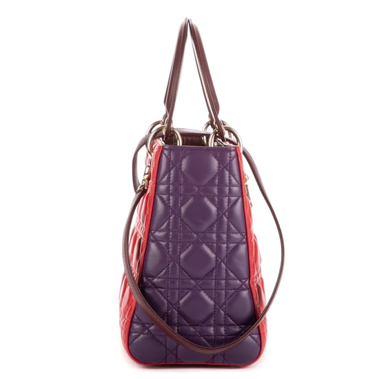 Medium Lady Dior Zip PM Bolso - Image 5
