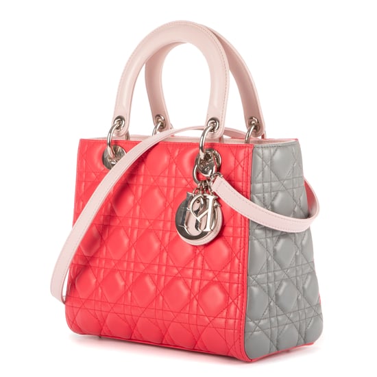 Medium Lady Dior Zip PM Bolso - Image 2