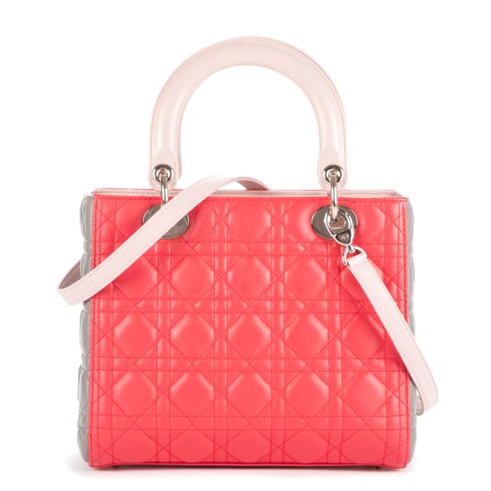Medium Lady Dior Zip PM Bolso - Image 4