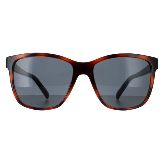 Smarty Square Unisex Tortuga Marrón Azul Gris Azul SB2315 - Image 1