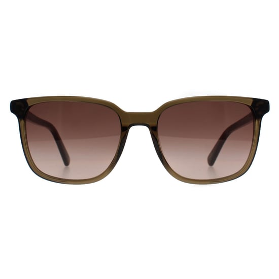 Banana Republic Rectángulo Hombre Verde Marrón Gradiente BR 4003/S - Image 1