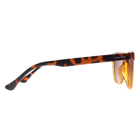Polar Rectángulo Hombre Cristal Brillante Miel Habana Marrón Polarizado 362 - Image 4