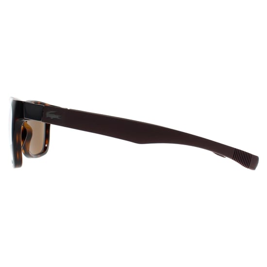 Gafas de sol polarizadas Lacoste L662SP 214 havana marrón - Image 3