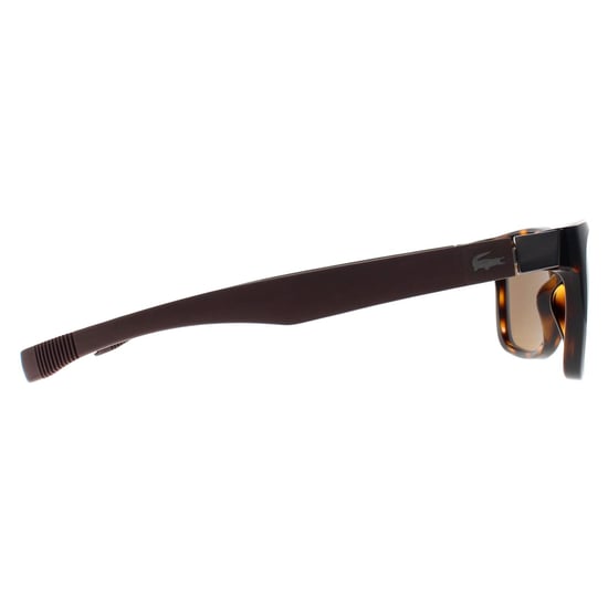 Gafas de sol polarizadas Lacoste L662SP 214 havana marrón - Image 4