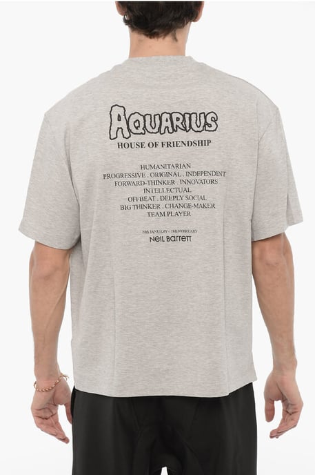 Camiseta de cuello redondo estampada AQUARIUS THE HUMANITARIAN en gris - Image 2