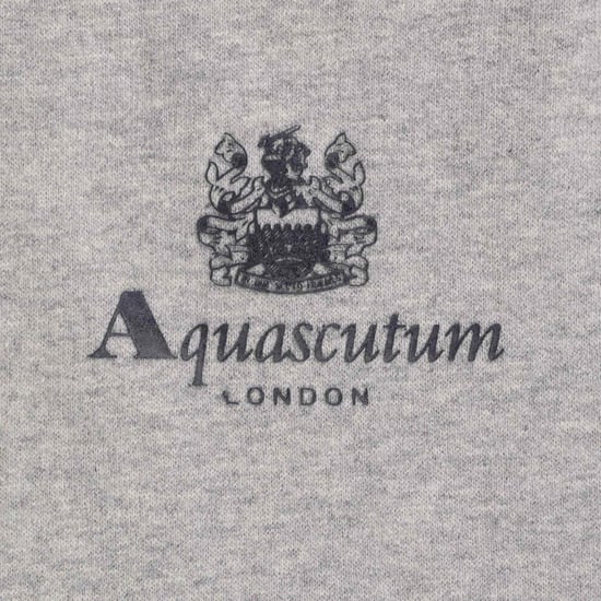 Sudadera con capucha Aquascutum Active con logotipo pequeño en gris - Image 3