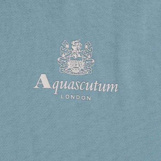 Sudadera con capucha azul Aquascutum Active con logotipo pequeño - Image 3